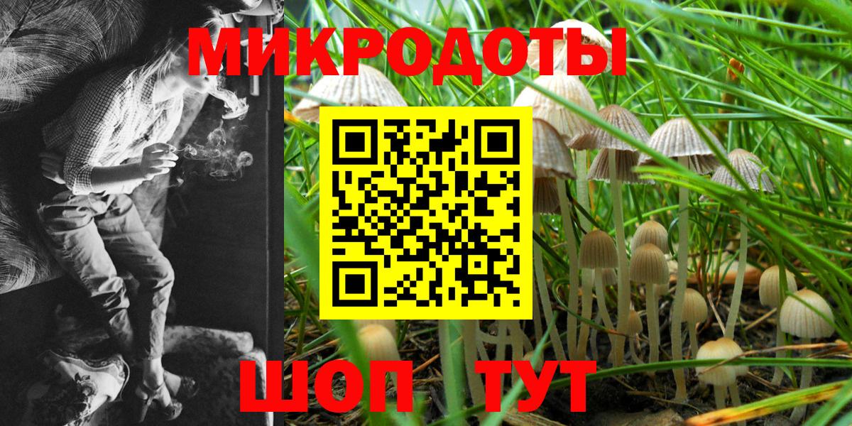 Псилоцибиновые грибы Cubensis  Вход с VPN  Энгельс 